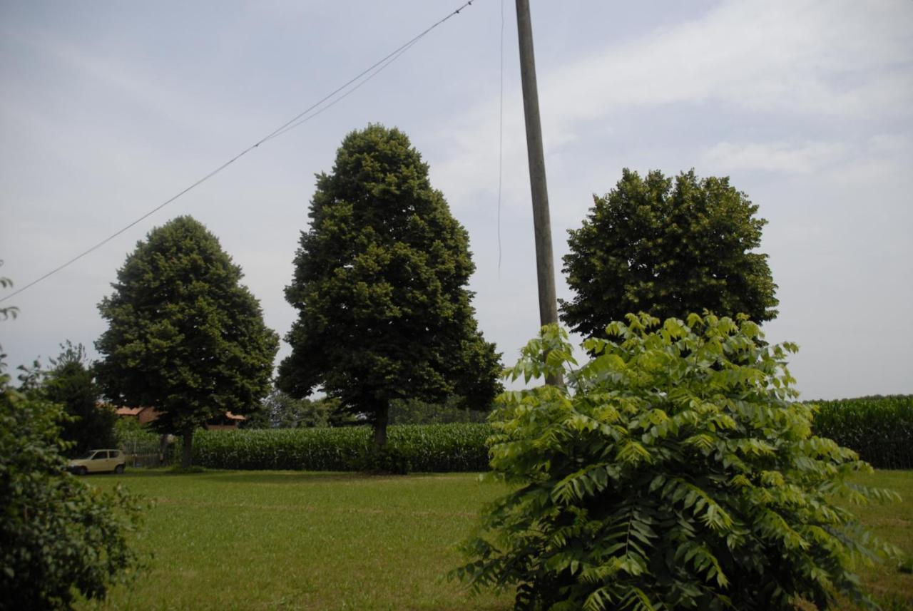 Spighe Paglia E Girasole Candia Canavese Exterior foto
