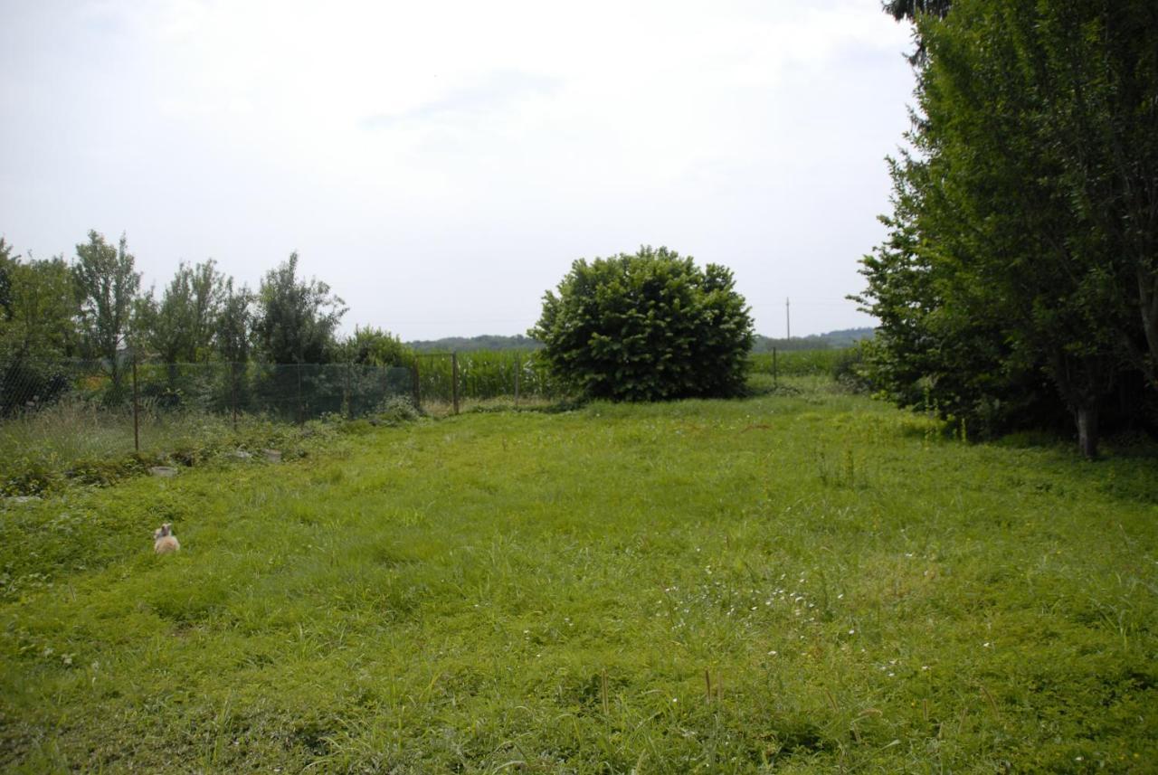 Spighe Paglia E Girasole Candia Canavese Exterior foto
